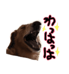 らむくんの休日（個別スタンプ：13）