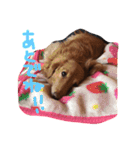 らむくんの休日（個別スタンプ：16）