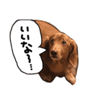 らむくんの休日（個別スタンプ：21）