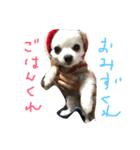 yuutoaoi（個別スタンプ：1）