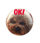 U-style 犬スタンプ（個別スタンプ：3）
