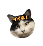 ミルと仲間達（個別スタンプ：3）