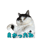 ミルと仲間達（個別スタンプ：8）