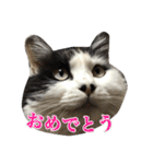 ミルと仲間達（個別スタンプ：10）