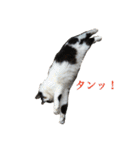 ミルと仲間達（個別スタンプ：11）