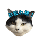 ミルと仲間達（個別スタンプ：12）