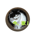 ミルと仲間達（個別スタンプ：14）