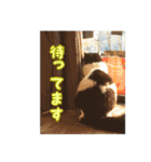 ミルと仲間達（個別スタンプ：19）