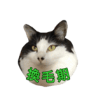 ミルと仲間達（個別スタンプ：20）