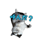 ミルと仲間達（個別スタンプ：23）