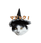 ミルと仲間達（個別スタンプ：27）