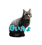 ミルと仲間達（個別スタンプ：32）