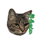 ミルと仲間達（個別スタンプ：33）
