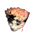 ミルと仲間達（個別スタンプ：36）