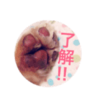天使のマシュマロちゃん（個別スタンプ：2）