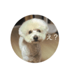 ダンク＆メイ（個別スタンプ：2）