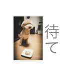 ダンク＆メイ（個別スタンプ：3）