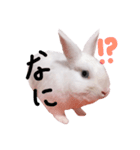 僕はミミ（個別スタンプ：2）