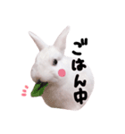 僕はミミ（個別スタンプ：10）