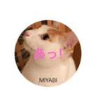 テトとミヤビ（個別スタンプ：6）
