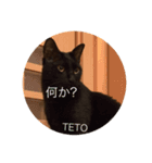テトとミヤビ（個別スタンプ：8）