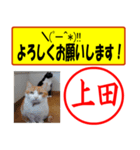 はんこだポン上田様用、顔文字と猫写真付（個別スタンプ：16）