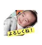 蒼さんスタンプ2（個別スタンプ：3）