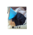 ビッケ（個別スタンプ：4）