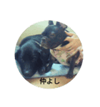 ビッケ（個別スタンプ：5）