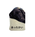 ビッケ（個別スタンプ：8）
