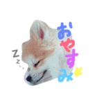 ピノとプリン（個別スタンプ：3）