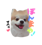 ピノとプリン（個別スタンプ：4）
