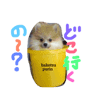 ピノとプリン（個別スタンプ：5）