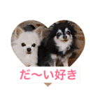 日常よく使う言葉 犬編（個別スタンプ：12）