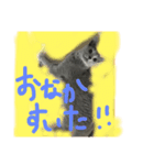 ロシアンブルー猫にゃん（個別スタンプ：7）