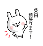 【柴田】専用名前ウサギ（個別スタンプ：35）