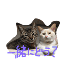 にゃーん from Sukima（個別スタンプ：5）