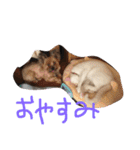 にゃーん from Sukima（個別スタンプ：32）