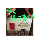 ネコ達2（個別スタンプ：7）