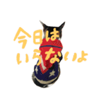 ネコ達2（個別スタンプ：11）