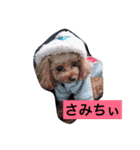 pokke＆berry（個別スタンプ：2）