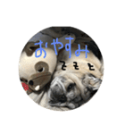 おとぼけゴン太より一言（個別スタンプ：1）