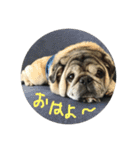 おとぼけゴン太より一言（個別スタンプ：2）