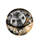 おとぼけゴン太より一言（個別スタンプ：3）