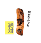 Family of YMD（個別スタンプ：10）