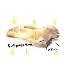 柴犬。。（個別スタンプ：9）