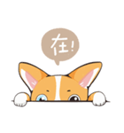 Life of Toby（個別スタンプ：1）