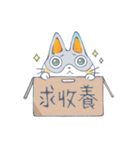 Fady Meowie（個別スタンプ：19）