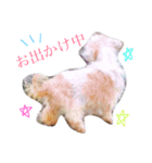 ごきげんシーズーのはなちゃん（個別スタンプ：4）