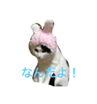 トトハピ（個別スタンプ：1）
